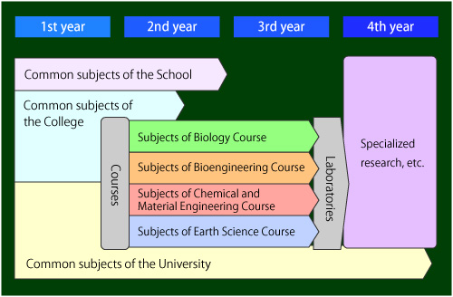 Curriculum of the School of Natural System